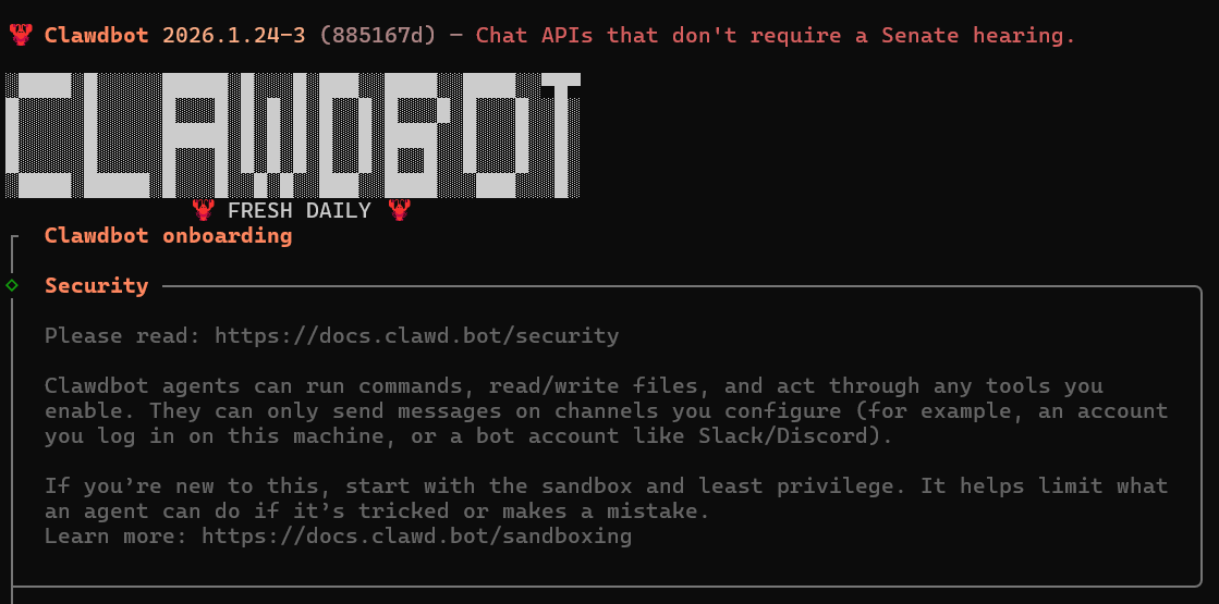 Clawdbot initialization screen